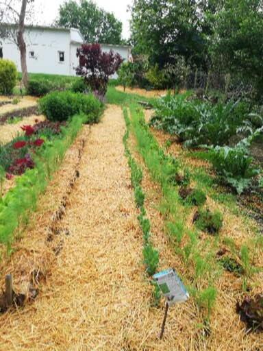 فيلا Au Coeur Du Jardin La Boussac المظهر الخارجي الصورة