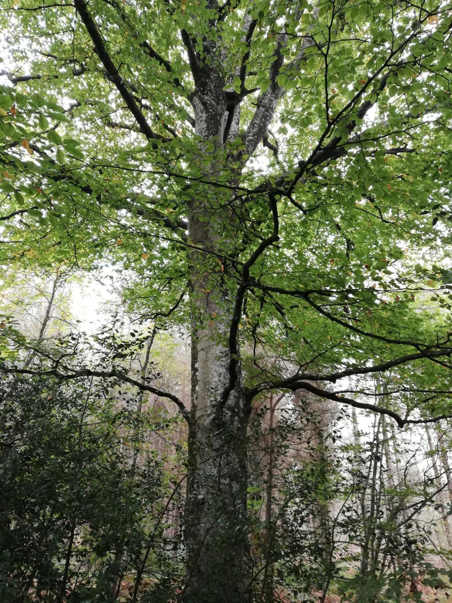 فيلا Au Coeur Du Jardin La Boussac المظهر الخارجي الصورة